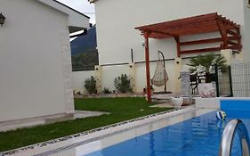 Vila Pelinovo